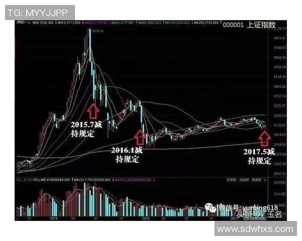 独家解析西安排球队实力对比及其影响因素分析 独家解析西安排球队实力对比及其影响因素分析
