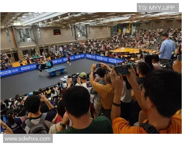 体育实时数据广州乒乓球队团队协作变革引发热议助力竞技水平提升 体育实时数据广州乒乓球队团队协作变革引发热议助力竞技水平提升