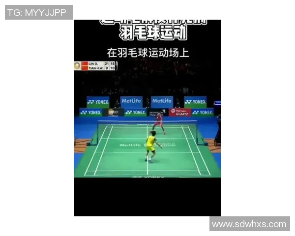 运动数据篮球新手必看全面掌握状态调整与技巧提升的入门指南